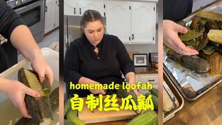 Bông mướp kiểu Mỹ (bushi