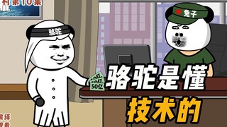 第10集：骆驼是懂技术的！