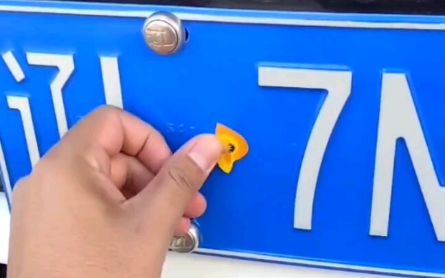 车牌上的小圆点挡住，会有什么后果？