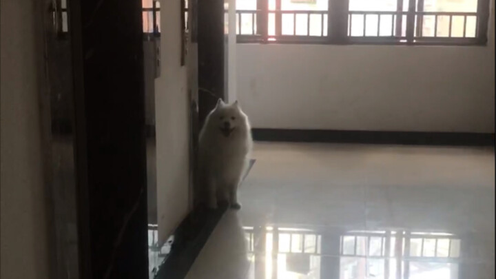 Hôm nay ra ngoài gặp được quý nhân! Nó còn cười với mình nữa đấy!