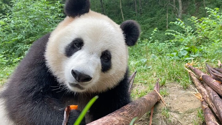 Bé cưng khởi đầu ngày mới thật vui vẻ, dù trời mưa rất to!