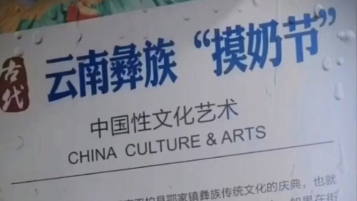 ศิลปวัฒนธรรมทางเพศของจีน