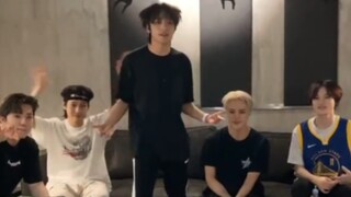 跳完舞害羞的熊熊 rua了自己的毛 然后长出了两只小耳朵~