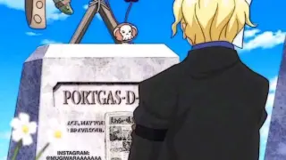 The fact that ace didn't know that sabo is still alive:((
