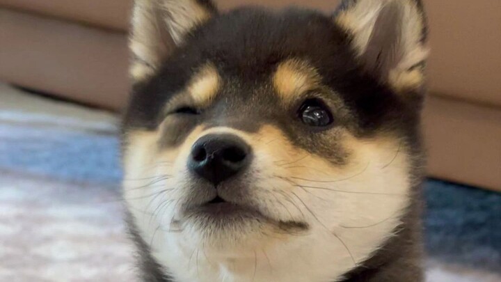 Man Yu’s Before-and-After in the Village