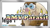 AMV Parasit