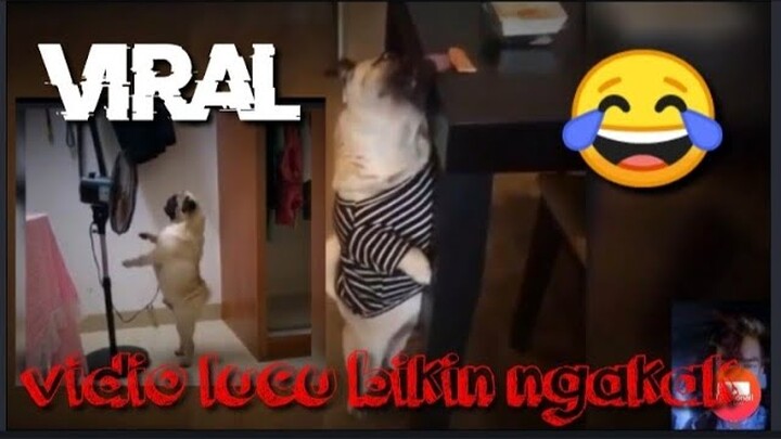 #viral2020  #vidiolucu  #ngakak Viral2020 VIDIO lUCU BIKIN NGAKAK PARAH🤣🤣