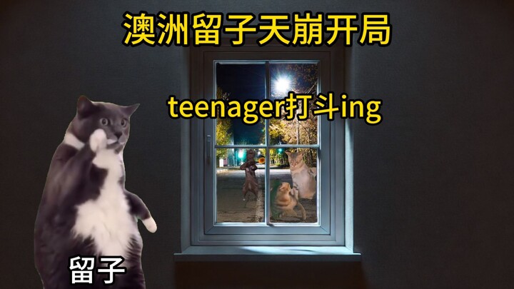 Australian Version of “Lost in Thailand”: Freshman Liu Zi’s Chaotic Start!