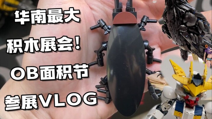 广东人玩积木的后果？？？2025 OB面积节参展vlog！