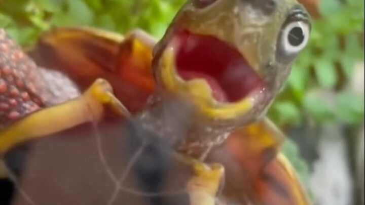 Datang dan @ sahabat dan saudaramu untuk mengetahui beberapa fakta yang jarang diketahui tentang kep