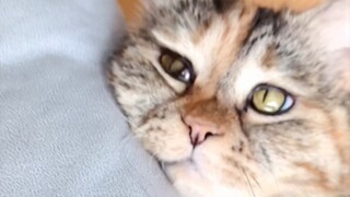 ใครกันนะที่พูดอยู่ข้างหูว่า ฉันหิวจะตายอยู่แล้ว