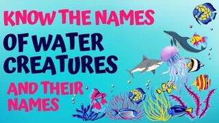 पानी के जीवो के नाम और उनके बारे में जानें | KNOW THE NAMES OF WATER CREATURES AND THEIR NAMES