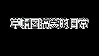 草帽团搞笑日常，一个视频都放不完！！