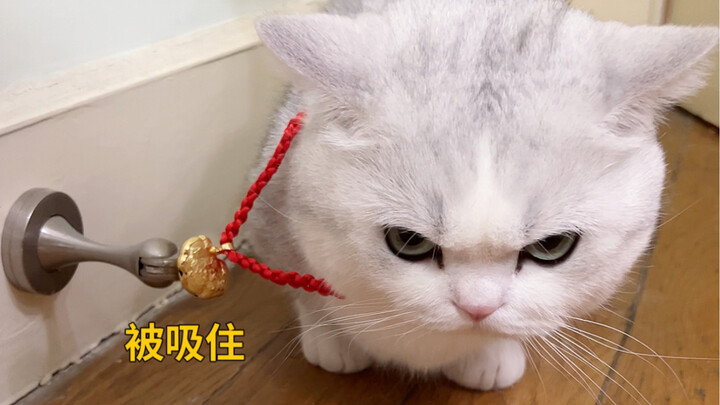 I stupidly bought this gold lock made of pure gold for my kid, only to find out...