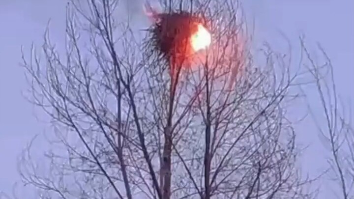 Picking up a cigarette butt set his own makeshift shelter on fire. Netizens: This is the danger of s