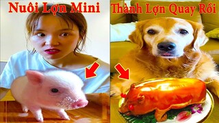 Thú Cưng TV | Gâu Đần và Bà Mẹ #28 | Chó Golden Gâu Đần thông minh vui nhộn | Pets cute smart dog