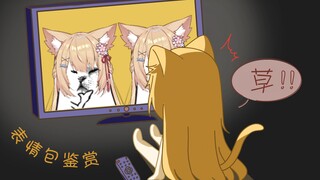 【十分钟看猫猫】瞧瞧你们又把我的头接到什么东西上了