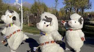 Pertunjukan tari etnis Niuniu hadir nih, keluarga semua, ayo like dan dukung!