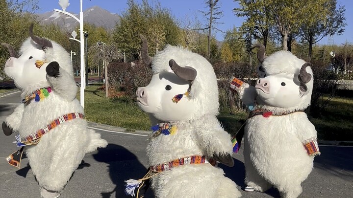 Pertunjukan tari etnis Niuniu hadir nih, keluarga semua, ayo like dan dukung!