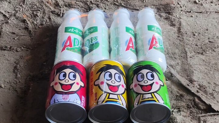 Which is more authoritative: Wangzai Milk or AD Calcium?