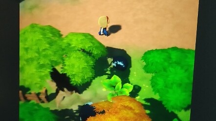 An indie game being developed by a single person
