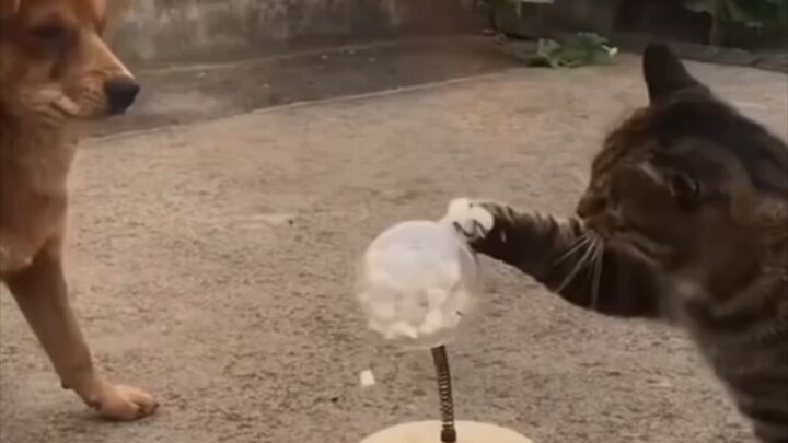 “ถ้าไปผิดทาง ความพยายามก็จะสูญเปล่า”