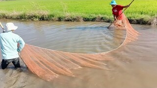 Kéo lưới mùa gió bắc nấu cơm ăn giữa ruộng