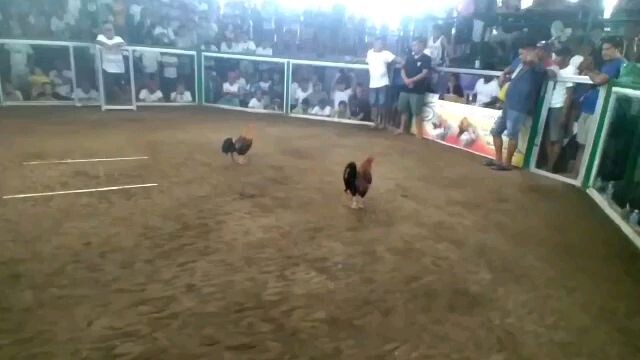 2hits ulutan OAS BARKADAHAN COCKPIT ARENA.