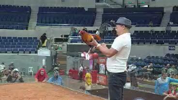 World Slasher Cup 1 2026 Airwolf x Blueface vs AEJ - Win