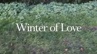 Winter of Love