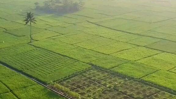 INDAH NYA ALAM HIJAU