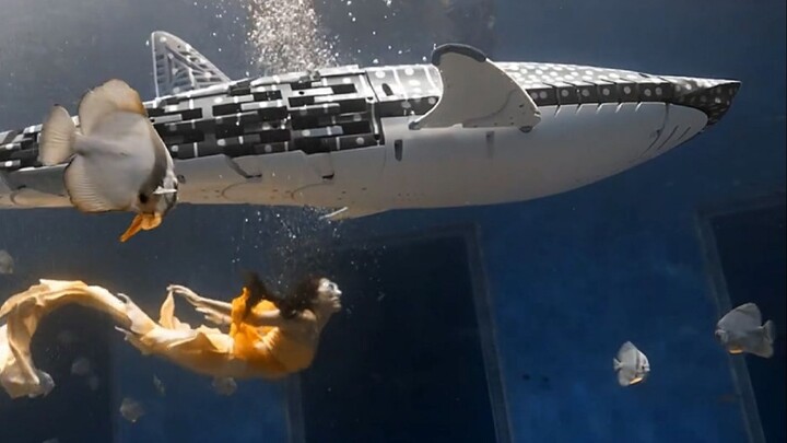 Hiu paus mekanis menggantikan hiu paus asli—ini baru yang benar-benar unggul dan jauh di depan seper