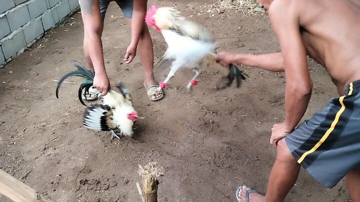 magkapatid kanawayon line