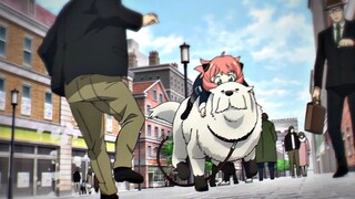 Aniya rides doggy