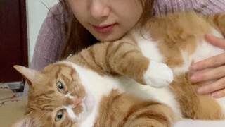 أنت مُبَرِّرٌ جدًا يا دونغيوان، حتى إن لعقك يؤلمني وجهي