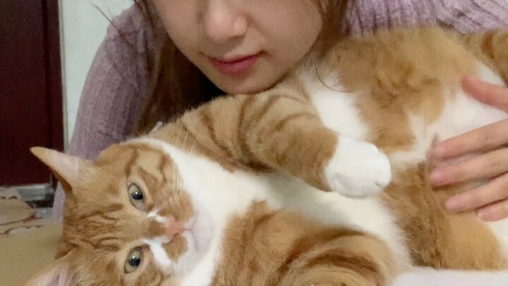 蛋卷你也太孝顺了，就是舔得我脸疼