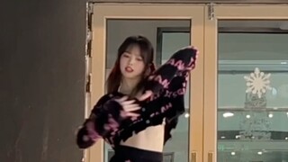 【beri tahu aku】 【jeans baru】 Versi paus beri tahu aku terlalu lucu dan aku bisa mendapatkan kucingny