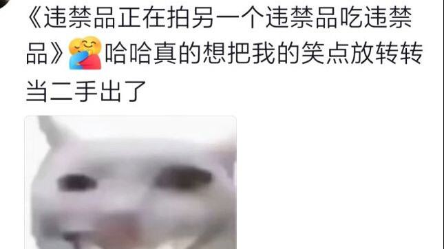 هل أُخبر هذا الطالب أن قطته تسرق كبّهاته وتلتهمها بخبث داخل مكتب الدراسة؟ هاكمي الشرير!