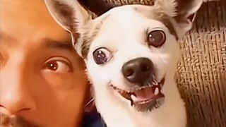 لقد شتموا بشيء من الشارع