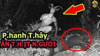 🔴10 Quái Vật Huyền Bí CỰC Nguy Hiểm CỰC Đáng Sợ Vô Tình Bị Phát Hiện Khiến Hàng Triệu Người Kinh Hãi