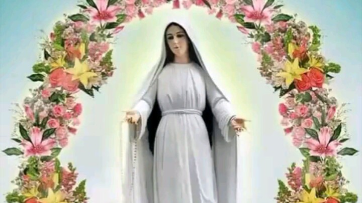 Our Lady Mediatrix of All Grace Please Help Us Always