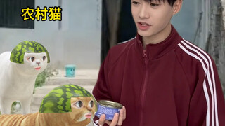 หลังจากแมวเมืองกลับไปที่หมู่บ้าน ก็ต่างแบ่งปันอาหารอร่อยให้กับแมวตัวอื่นๆ