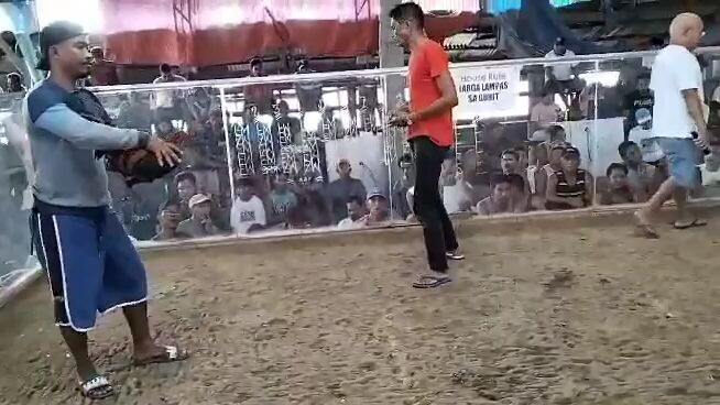 Alimbyugin vs Dalusapi