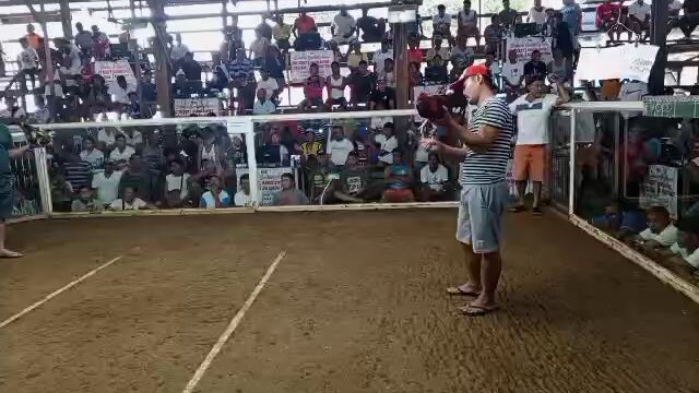 first fight 7yrs old 3times w