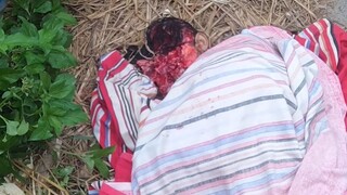 ভিডিও টা দেখে সবারই লোম দাঁড়িয়ে যাবে