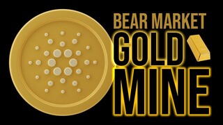 CARDANO’s BEAR MARKET GOLD MINE