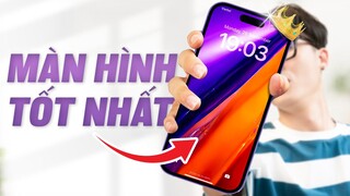 Vượt trội Android, iPhone 14 Pro Max mới là smartphone màn hình đẹp nhất thế giới? | Vật Vờ Studio