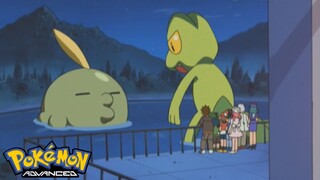 Pokémon AG Tập 341: Đại chiến chống lại Gokulin! (Thuyết Minh)