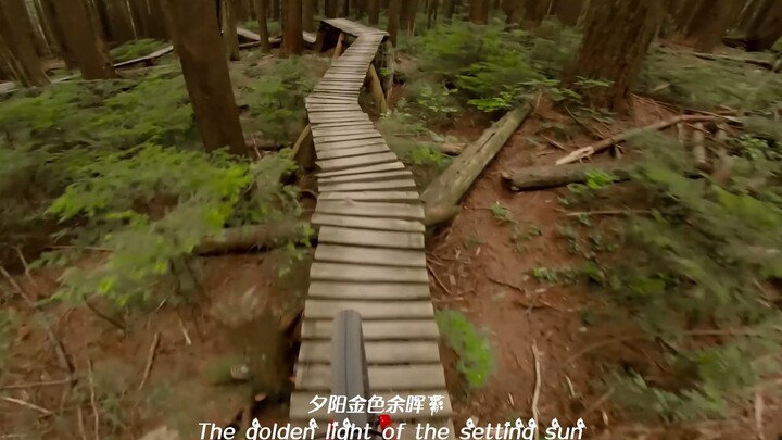 Just go to sleep after watching it.