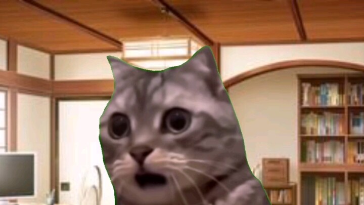 [Cat Meme] หลังจากพิชิตครูโรงเรียนผู้โดดเดี่ยว ฉันก็ค้นพบคุณสมบัติยันเดเระของเขา (ตอนที่ 1)